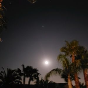 Meet your Posher, Sherri